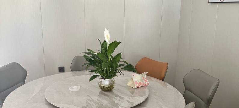 峰桃居客栈(北妈段分店)图片