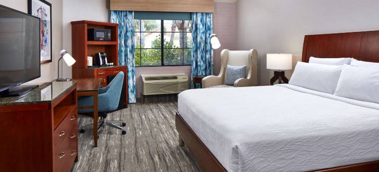 瓦伦西亚六旗希尔顿花园酒店(Hilton Garden Inn Valencia at Six Flags)图片