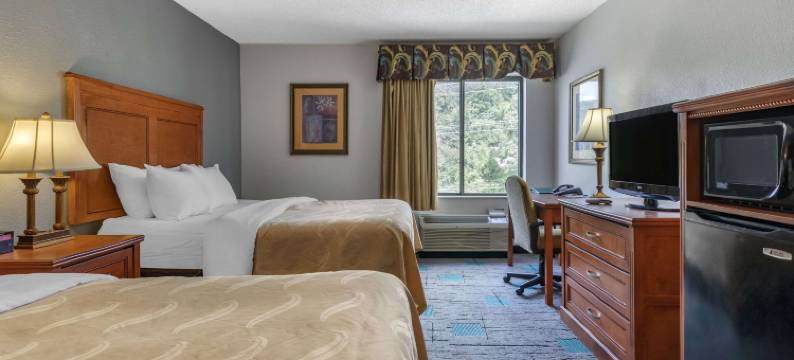 查塔努加贝蒙特旅馆套房酒店(Quality Inn & Suites)图片