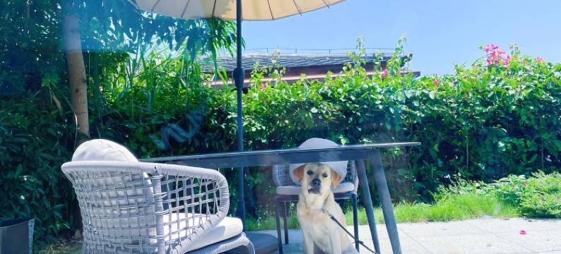 珊珊与海海度假别墅(龙魁线分店)图片