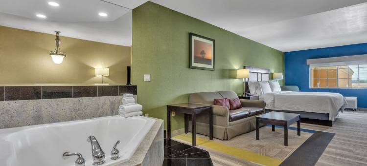 智选假日套房酒店埃尔森特罗 by IHG(Holiday Inn Express & Suites El Centro by IHG)图片