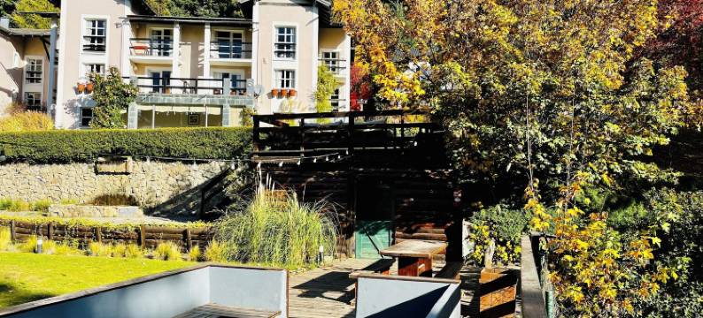 阿尔代亚安迪娜酒店与温泉(Aldea Andina Hotel&Spa)图片