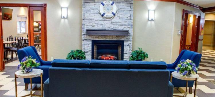 舒适套房酒店-史蒂文斯维尔圣约瑟夫(Comfort Suites Stevensville - St Joseph)图片