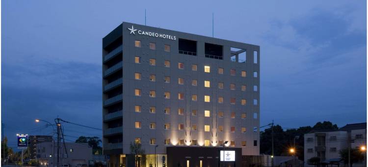 菊阳熊本机场光芒酒店(CANDEO HOTELS)(Candeo Hotels Kikuyo Kumamoto Airport)图片