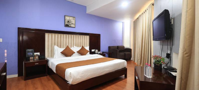 德夫艾迪酒店(Dev Aadi Hotel)图片