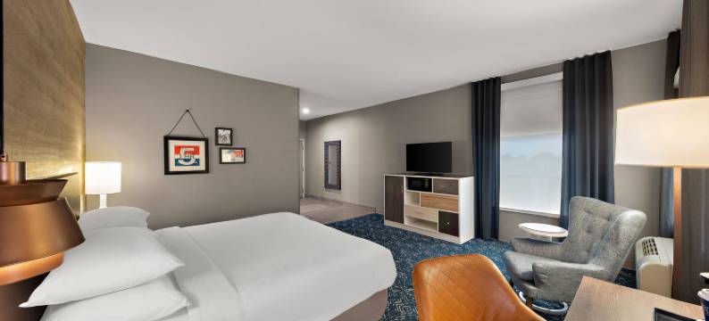 普莱诺福朋喜来登酒店(Four Points by Sheraton Plano)图片