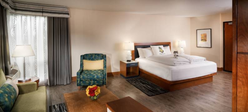 Staypineapple-华盛顿湖酒店-西雅图大学区(Staypineapple, Watertown Hotel, University District Seattle)图片