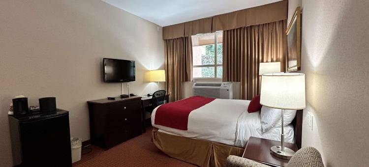 里士满温哥华机场贝斯特韦斯特必住酒店(SureStay by Best Western Richmond Vancouver Airport)图片
