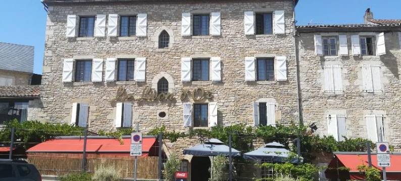 雄狮酒店(Logis Hôtels - Hôtel et Restaurant le Lion d'Or)图片