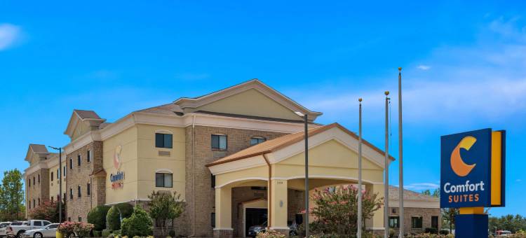 林代尔泰勒北舒适套房酒店(Comfort Suites Lindale)图片