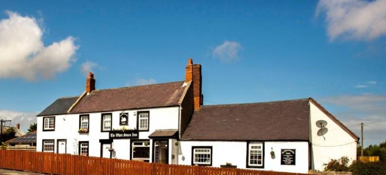 白天鹅旅馆(The White Swan Inn)图片