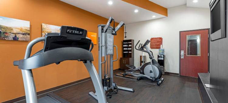 舒适套房酒店(Comfort Suites)图片