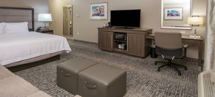 杰克逊理奇兰欢朋套房酒店(Hampton Inn & Suites Ridgeland)图片