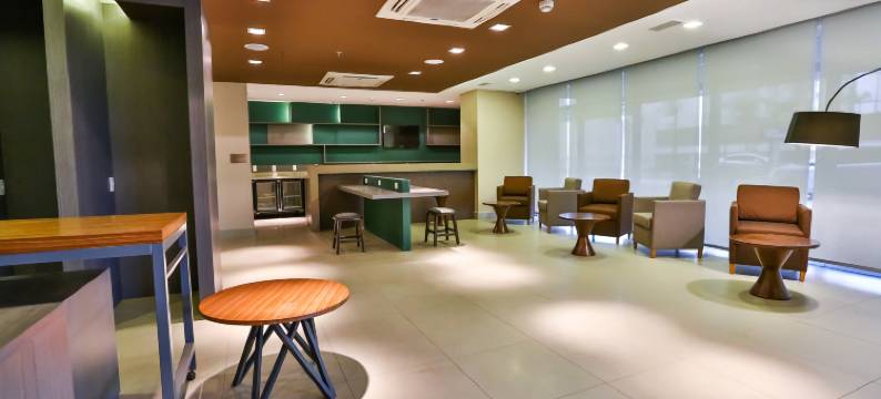 圣安德雷希尔顿花园酒店(Hilton Garden Inn Santo Andre)图片