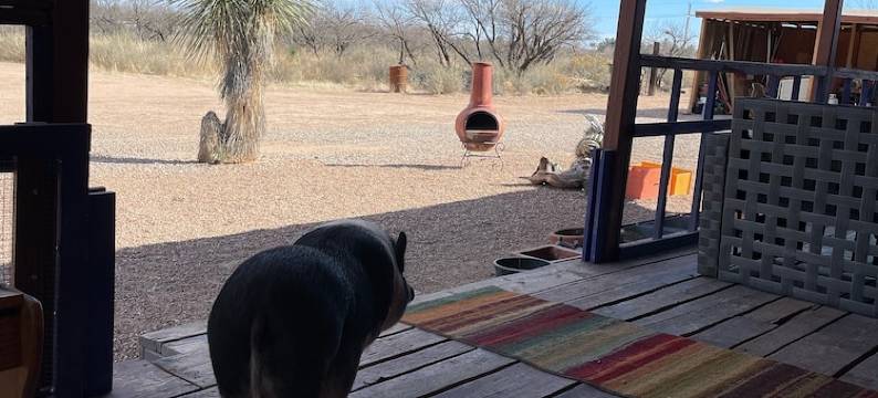 Ranchito Paraiso: Pet-friendly Rustic Elegance in the Desert图片