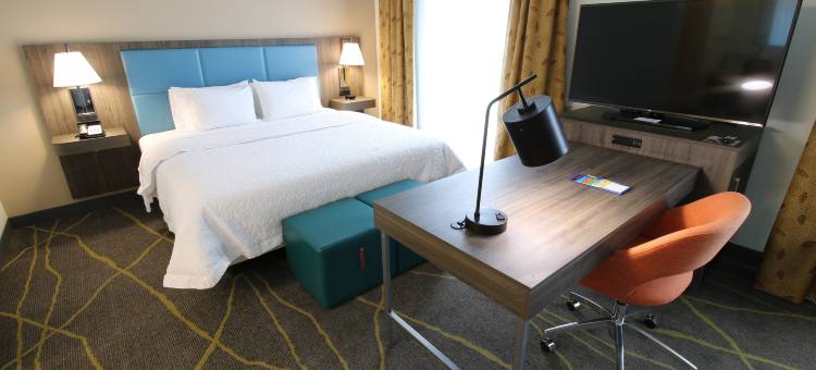 棕榈滩海岸欢朋套房酒店(Hampton Inn & Suites Palm Coast)图片