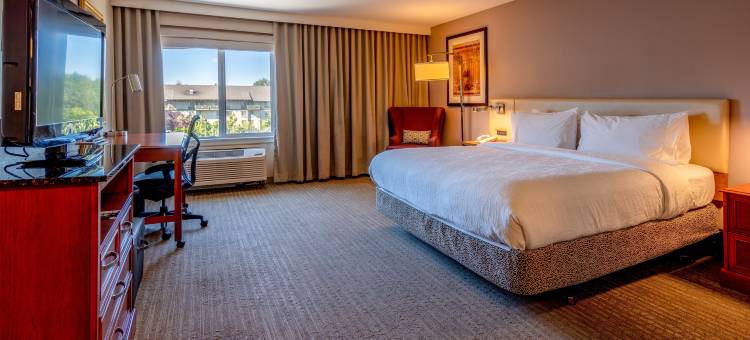 伦顿西雅图希尔顿花园酒店(Hilton Garden Inn Seattle/Renton)图片