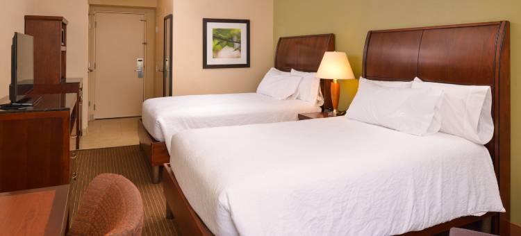 巴尔的摩白色沼泽希尔顿花园酒店(Hilton Garden Inn Baltimore/White Marsh)图片