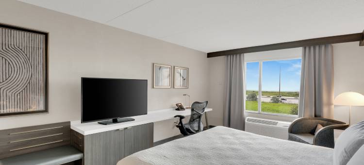 多伦多布兰普顿希尔顿花园旅馆(Hilton Garden Inn Toronto/Brampton)图片