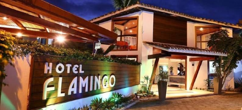 弗拉明戈海滩酒店(Hotel Flamingo Beach by HC)图片