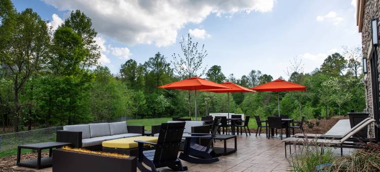 黑山欢朋酒店(Hampton Inn by Hilton Black Mountain)图片