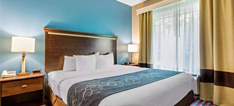 费尔维尤高地舒适套房酒店(Comfort Suites)图片