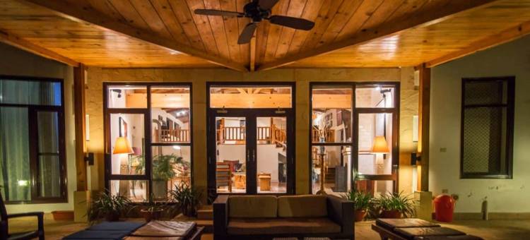 生活之树Junoon山中(Tree of Life Junoon in the Hills)图片