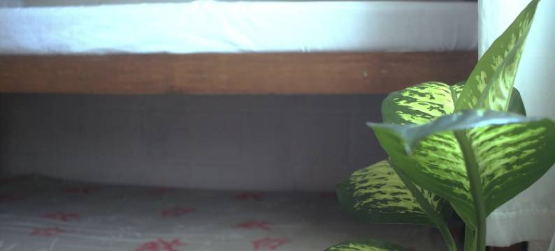 海洋青年旅舍(Off Ocean Hostel)图片