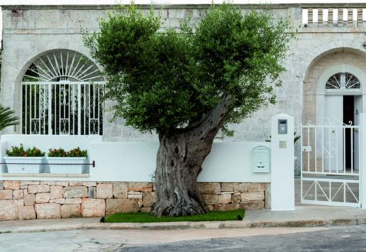 Dimora San Quirico - Rooms & Food Hotel Overview