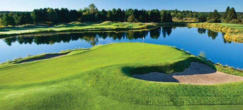 岸边湖畔公寓5682单元(The Shores Lakeside Condo Unit 5682)图片