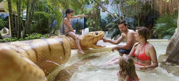 法朗布瓦中央公园酒店(Center Parcs les Bois Francs)图片