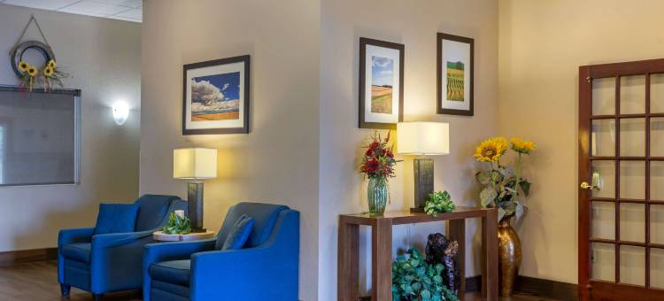 舒适套房酒店(Comfort Inn & Suites)图片