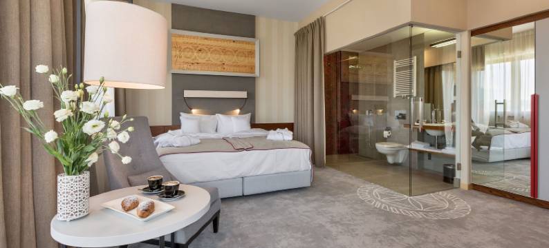 科皮涅茨酒店(Hotel Kopieniec)图片