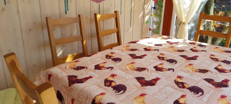 奥可布勒酒店(Au Coq Bleu)图片