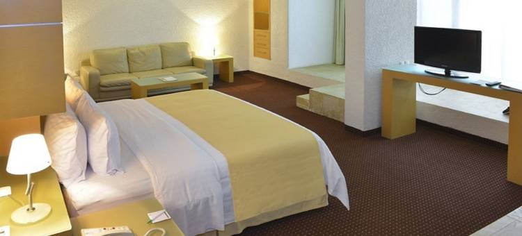 Holiday Inn 莫雷利亚(Holiday Inn Morelia)图片