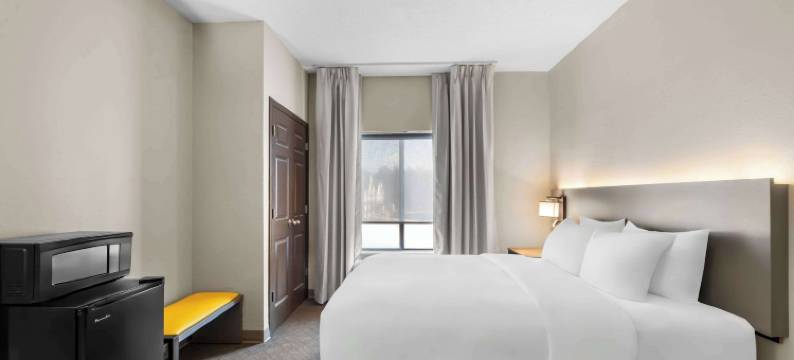 康福特套房史蒂文斯波因特(Comfort Suites)图片