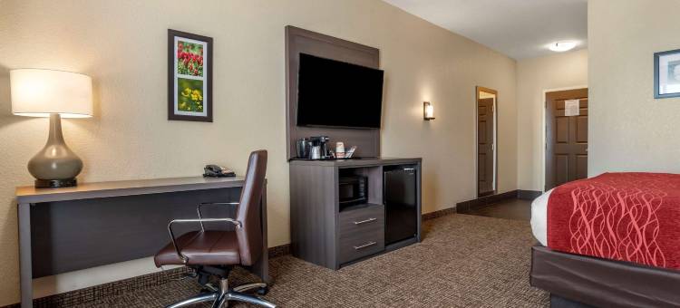 米尔布鲁克-普拉特维尔舒适套房酒店(Comfort Inn & Suites Millbrook-Prattville)图片