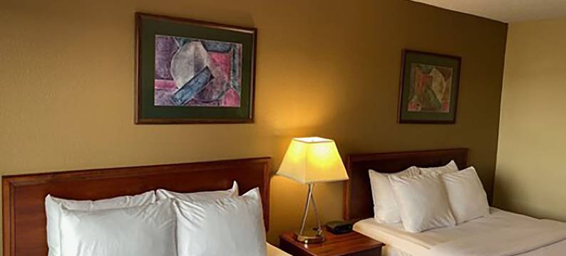 I-74 及 155 舒适套房酒店(Comfort Inn & Suites at I-74 and 155)图片