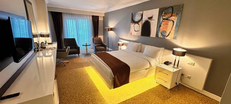 梅利德酒店(Melid Hotel)图片