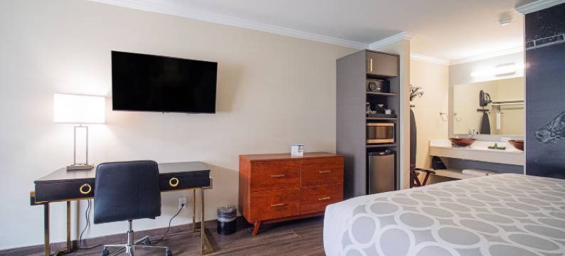 奥卡拉马之旅馆(Equus Inn I75)图片