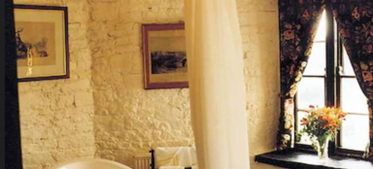 基尼缇城堡酒店(Kinnitty Castle Hotel)图片