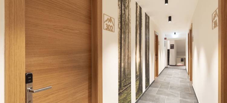 B&B酒店帕索特雷克罗奇科尔蒂纳(B&B Hotel Passo Tre Croci Cortina)图片