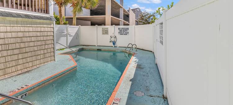 岛屿棕榈(Island palms)图片