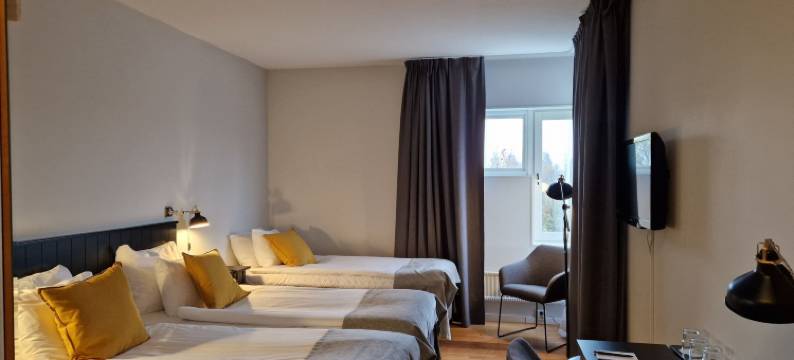 伊里克苏恩酒店(Hotell Erikslund)图片