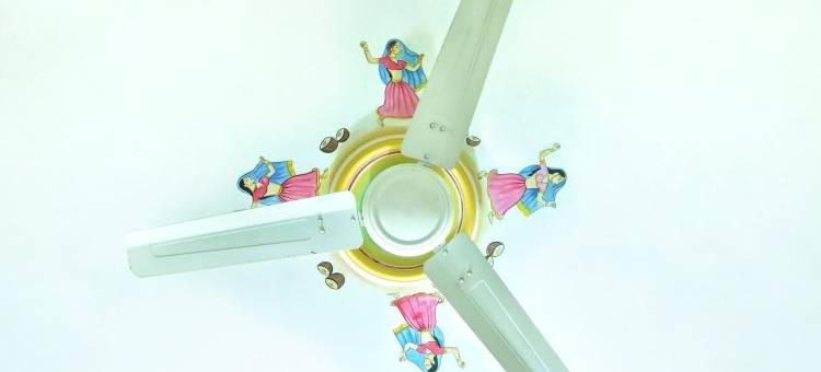 巴巴哈维利酒店(Hotel Baba Haveli)图片