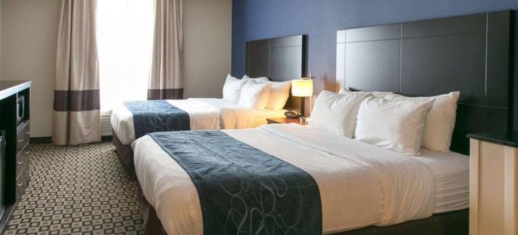舒适套房酒店-本顿港-圣约瑟(Comfort Suites Benton Harbor - St. Joseph)图片