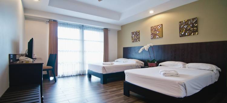 城市之光酒店(Citylight Hotel)图片