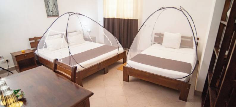 H1 伊萨卢酒店(Hotel H1 Isalo)图片