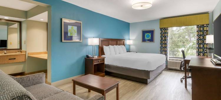 默特尔比奇贝斯特韦斯特优质酒店(Best Western Plus Myrtle Beach @ Intracoastal)图片