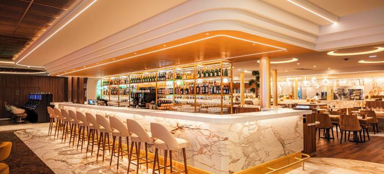 里昂周边沙博尼耶尔莱班圣廷苑水疗酒店(Hotel & Spa Le Pavillon)图片